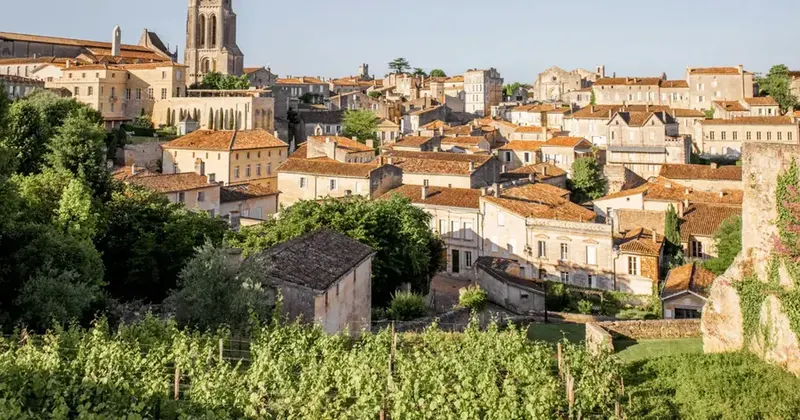 From Bordeaux: Saint-Émilion Half-Day Tour with Wine Tasting