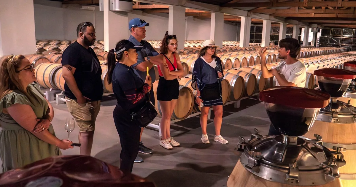 From Bordeaux: Full-Day Wine Trip to St-Emilion and Margaux