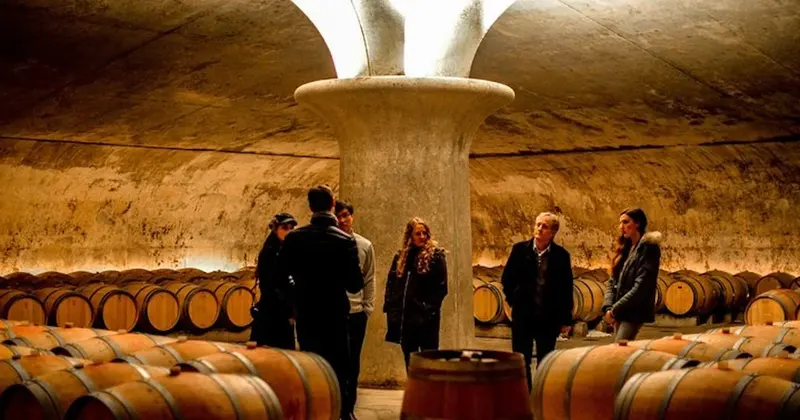 Bordeaux: St-Emilion and Médoc Wine Day Tour with Lunch