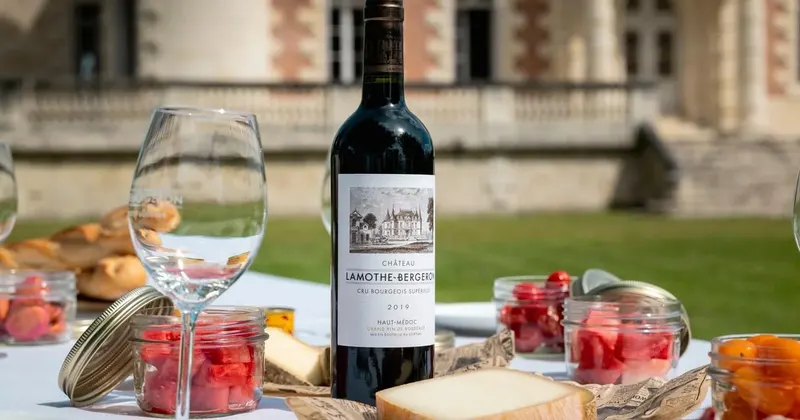 Bordeaux: Médoc Wine Route Private Day Tour & Picnic Lunch