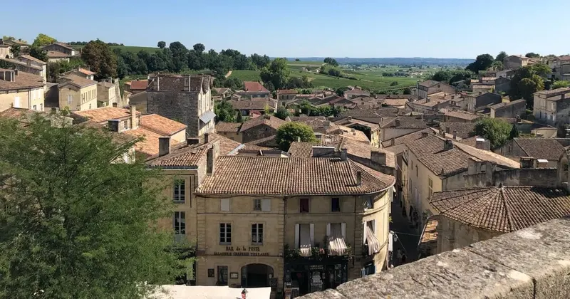 From Bordeaux: Half-Day Saint-Emilion Wine Tour