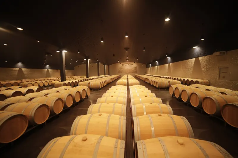 A barrel chai — the cellar visit every château tour includes before the tasting
